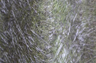 Almeley fibreglass roof work